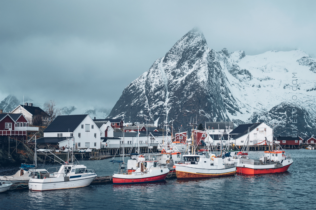 Colágeno marino hidrolizado LIVET elaborado en Noruega con bacalao salvaje del Atlántico Norte