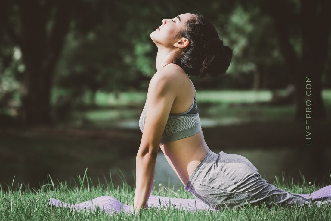 mujer realizando ejercicio de movilidad en el parque representando movimiento consciente y cuidado de las articulaciones