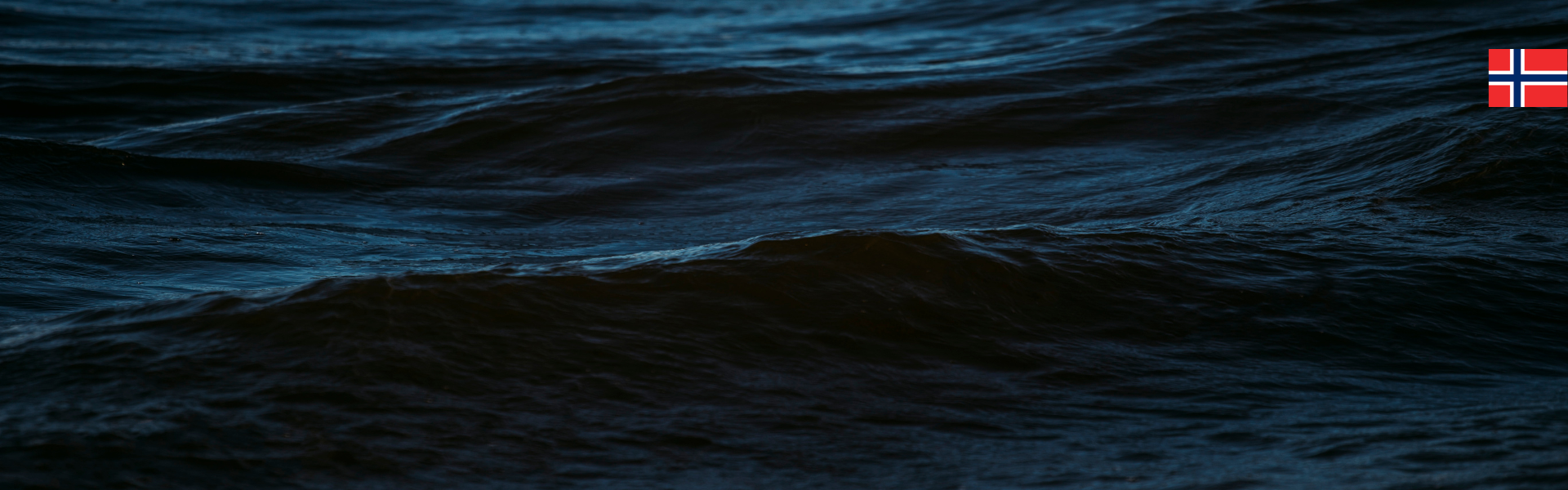 Colágeno marino hidrolizado de origen noruego - Producto LIVET