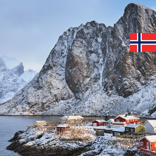 Colágeno Hidrolizado 100% Natural. Hecho en Noruega. Origen Marino. Ácido Hialurónico. Té Matcha.