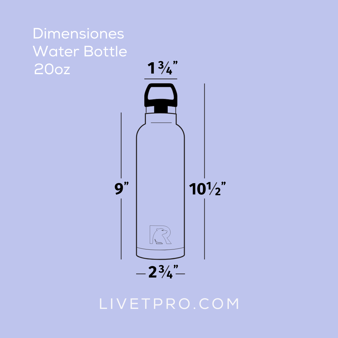 Water Bottle - 20oz (Charcoal)