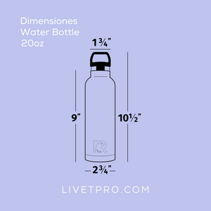 Water Bottle - 20oz (Charcoal)